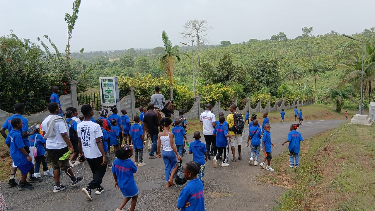 Activity three